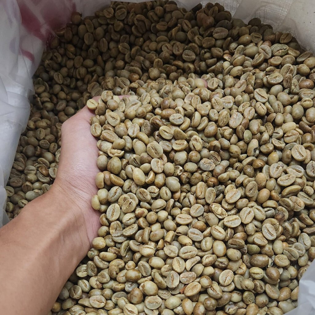 Kopi Robusta Murni
